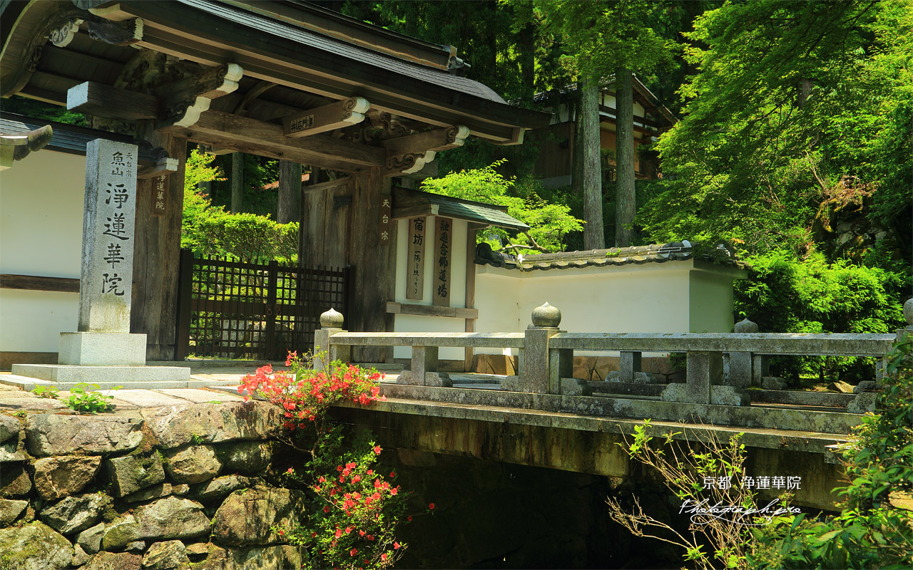 浄蓮華院 サツキと紅葉橋 壁紙