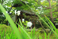禅華院