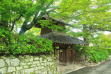 禅華院 青椛と三解脱門