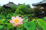 大蓮寺