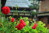 因幡堂