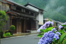鞍馬