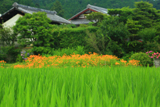 静市