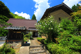 清源寺 落木槿
