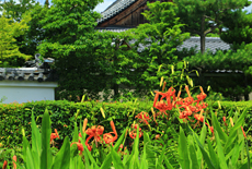 春光院