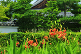 春光院