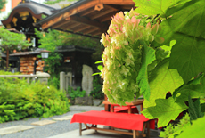菅原院天満宮神社