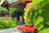 菅原院天満宮神社