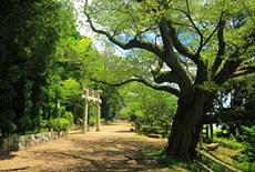 岩倉
