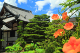 更雀寺