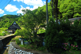 京都 真弓のあじさい
