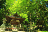 京都 青椛の中川八幡宮社