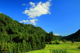 京都 夏空と大森の田園