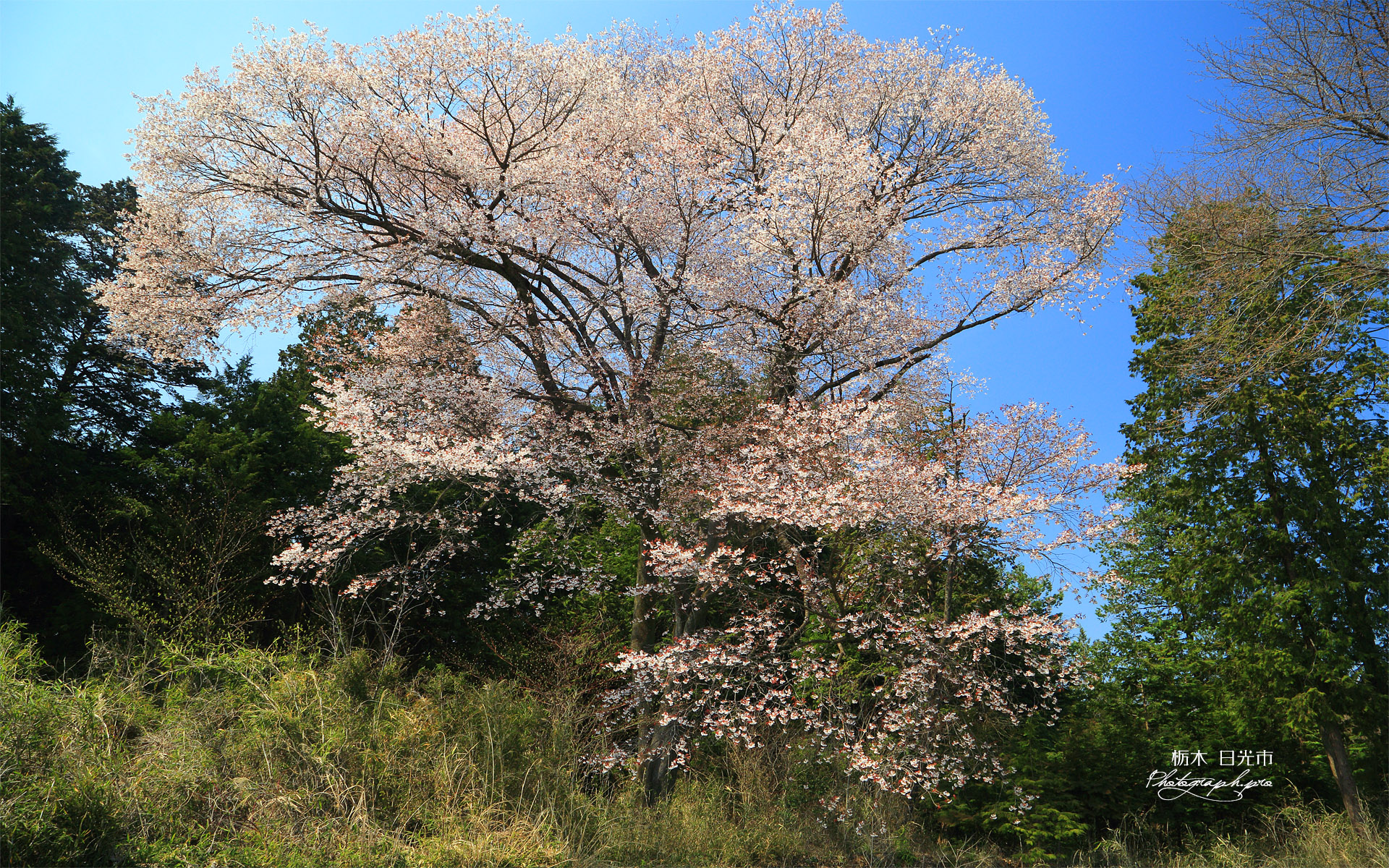 日光市沓掛