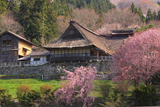 遠野市 千葉家住宅