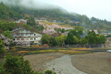 渡瀬温泉の桜